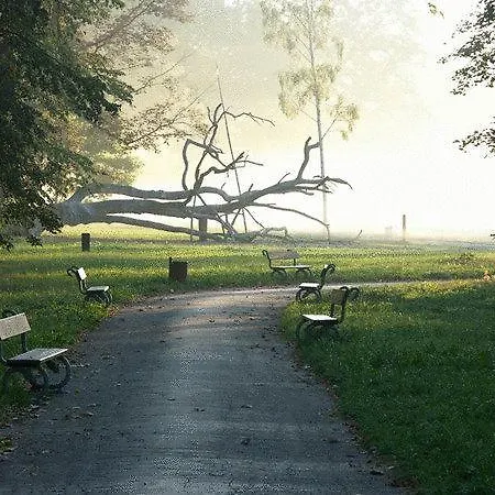 Forrest Hotel 3*