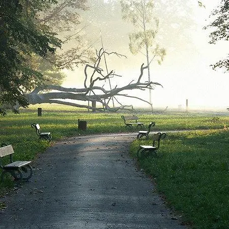 Forrest Szálloda 3*