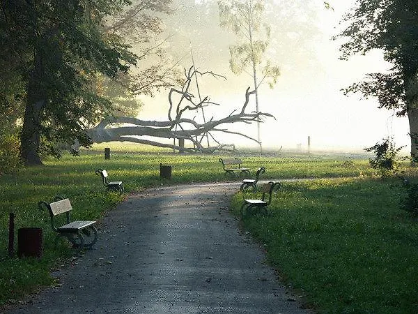 Forrest Szálloda 3*